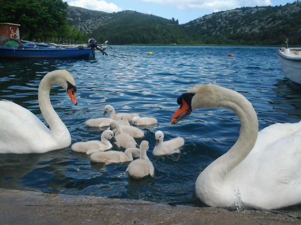 Apartman Hill Hotel Skradin Esterno foto